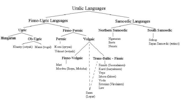Uralic Family tree